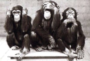 Document chronologique de référence sur les effets indésirables des injections Covid